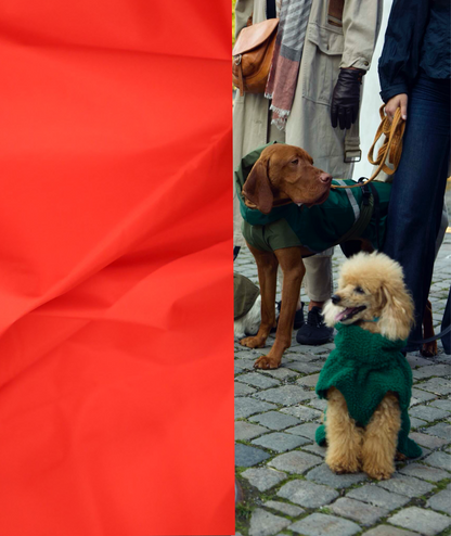 Hundedekken + Helly Hansen Rød