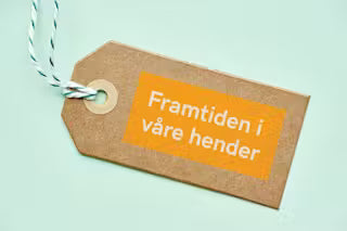 FRAMTIDEN I VÅRE HENDER