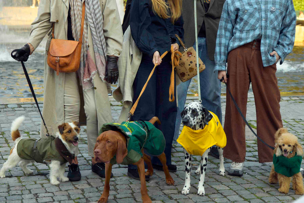 Fæbrik x Felleskjøpet Hundedekken