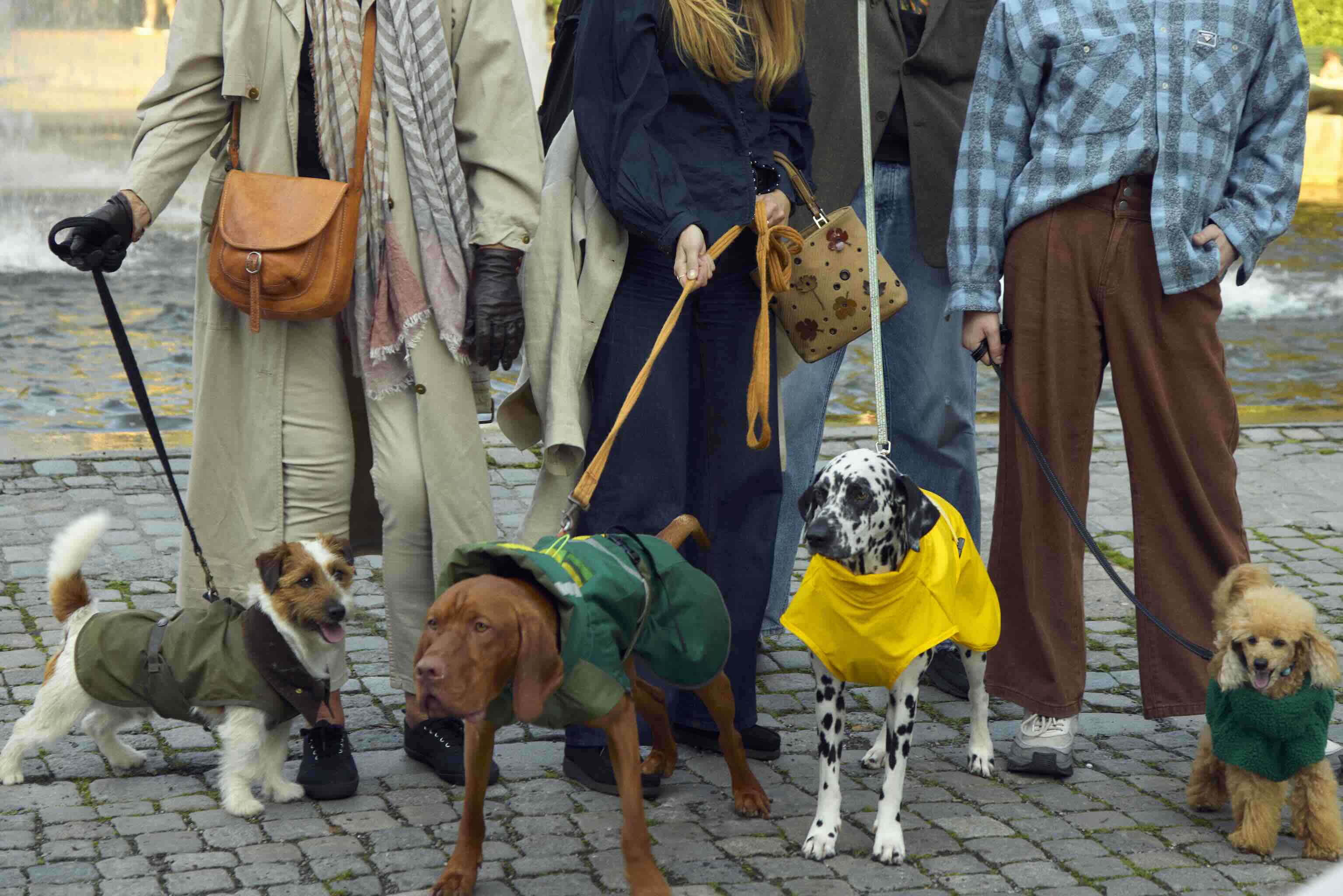 Fæbrik x Felleskjøpet Hundedekken