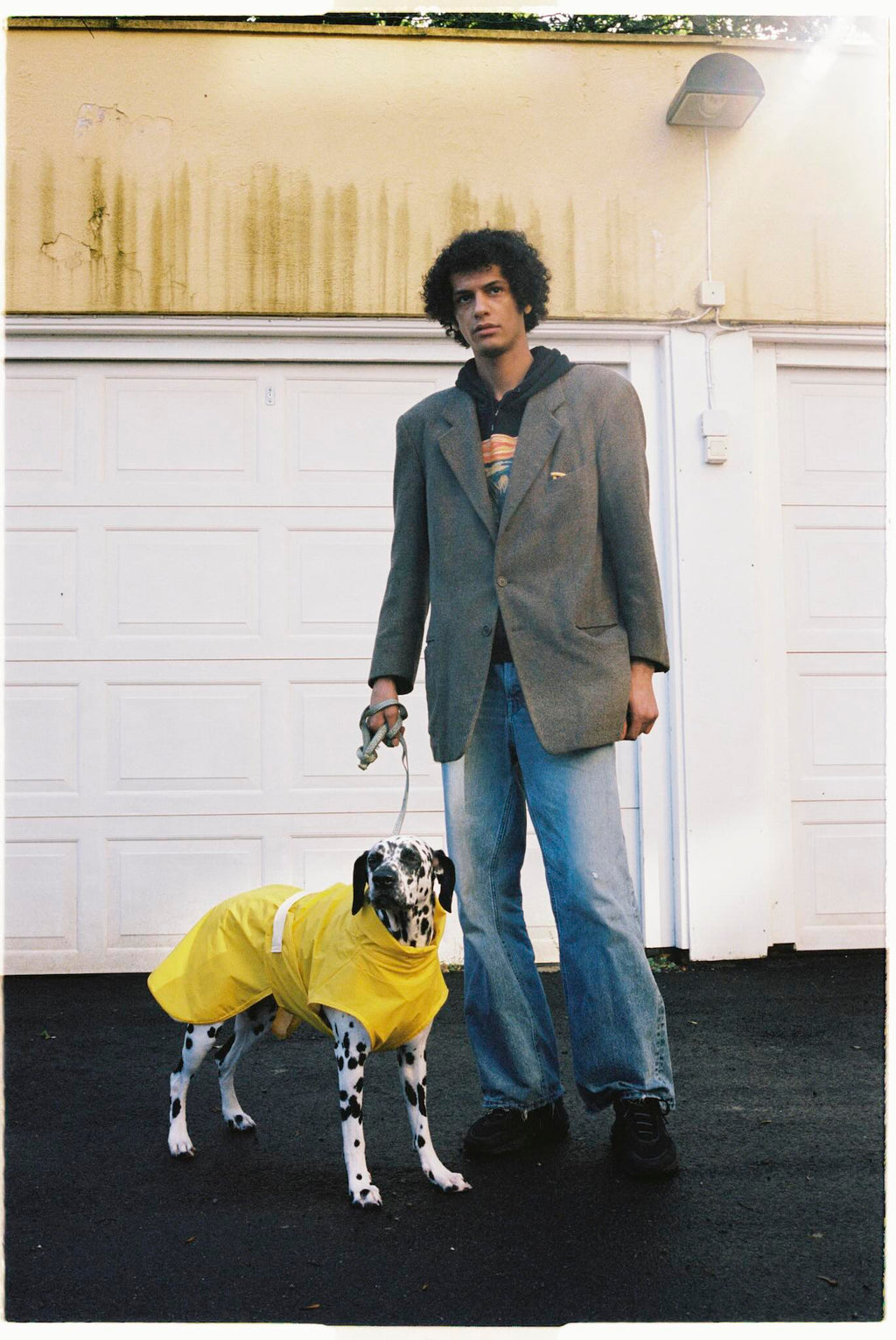 Fæbrik x Felleskjøpet Hundedekken