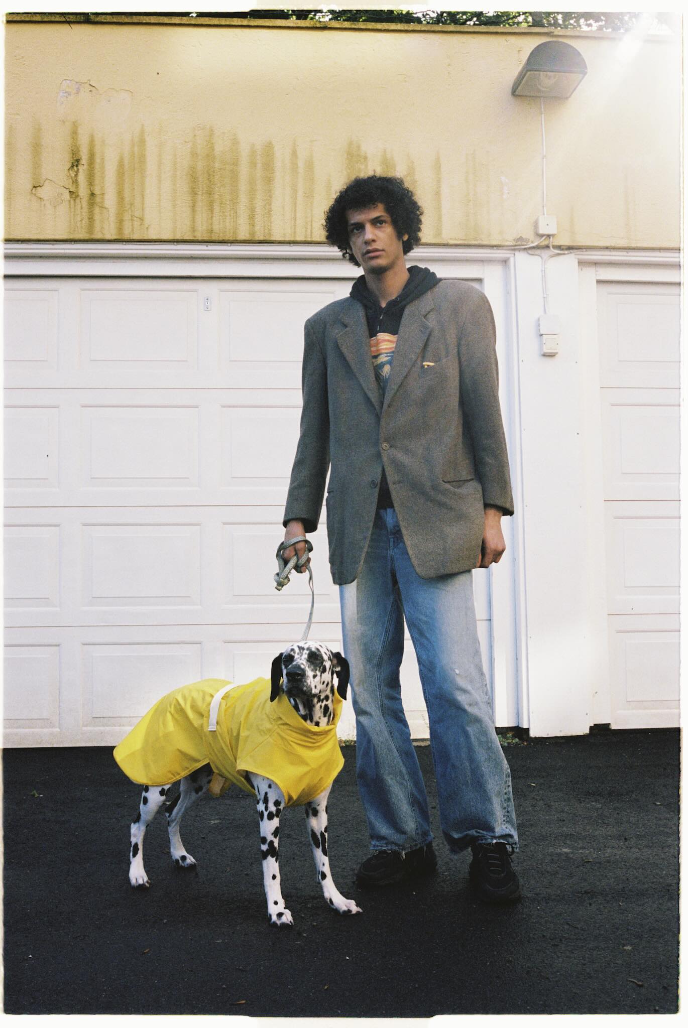 Fæbrik x Felleskjøpet Hundedekken