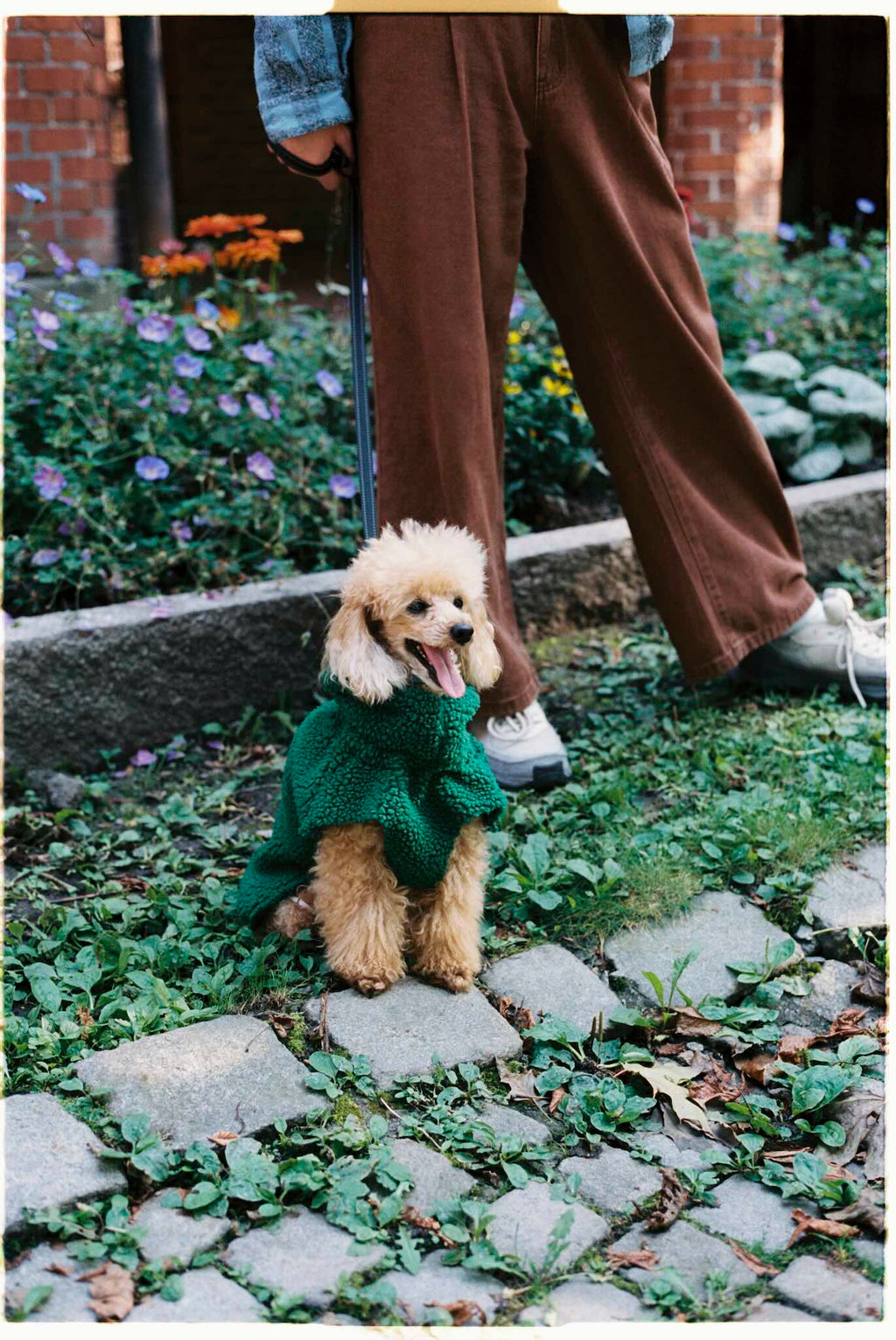 Fæbrik x Felleskjøpet Hundedekken