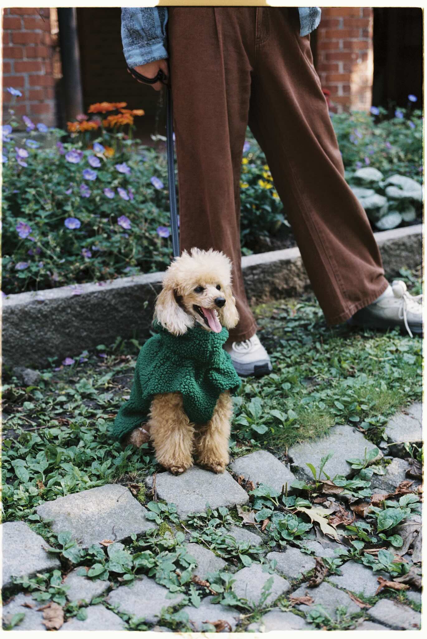 Fæbrik x Felleskjøpet Hundedekken