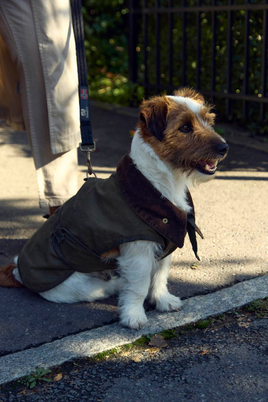 Fæbrik x Felleskjøpet Hundedekken