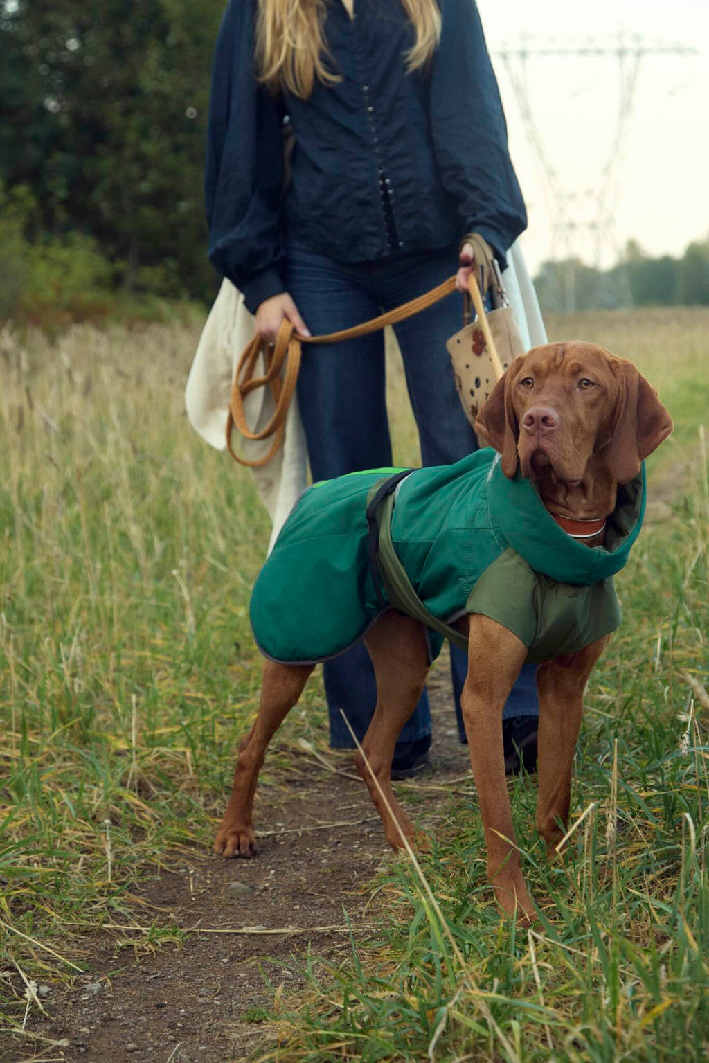 Fæbrik x Felleskjøpet Hundedekken