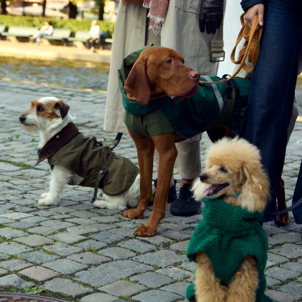 Fæbrik x Felleskjøpet Hundedekken