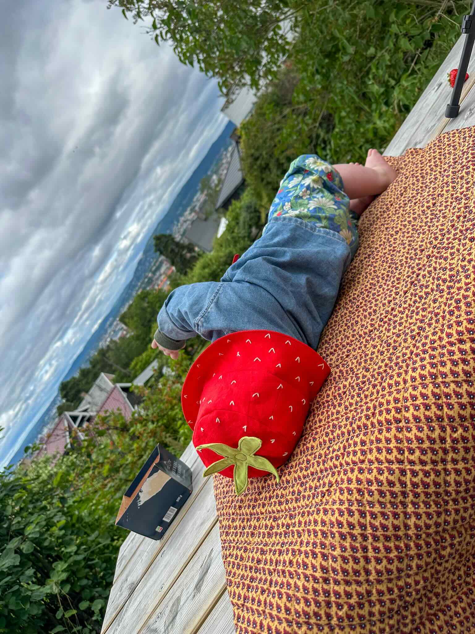 Jordbær Bøttehatt sypakke