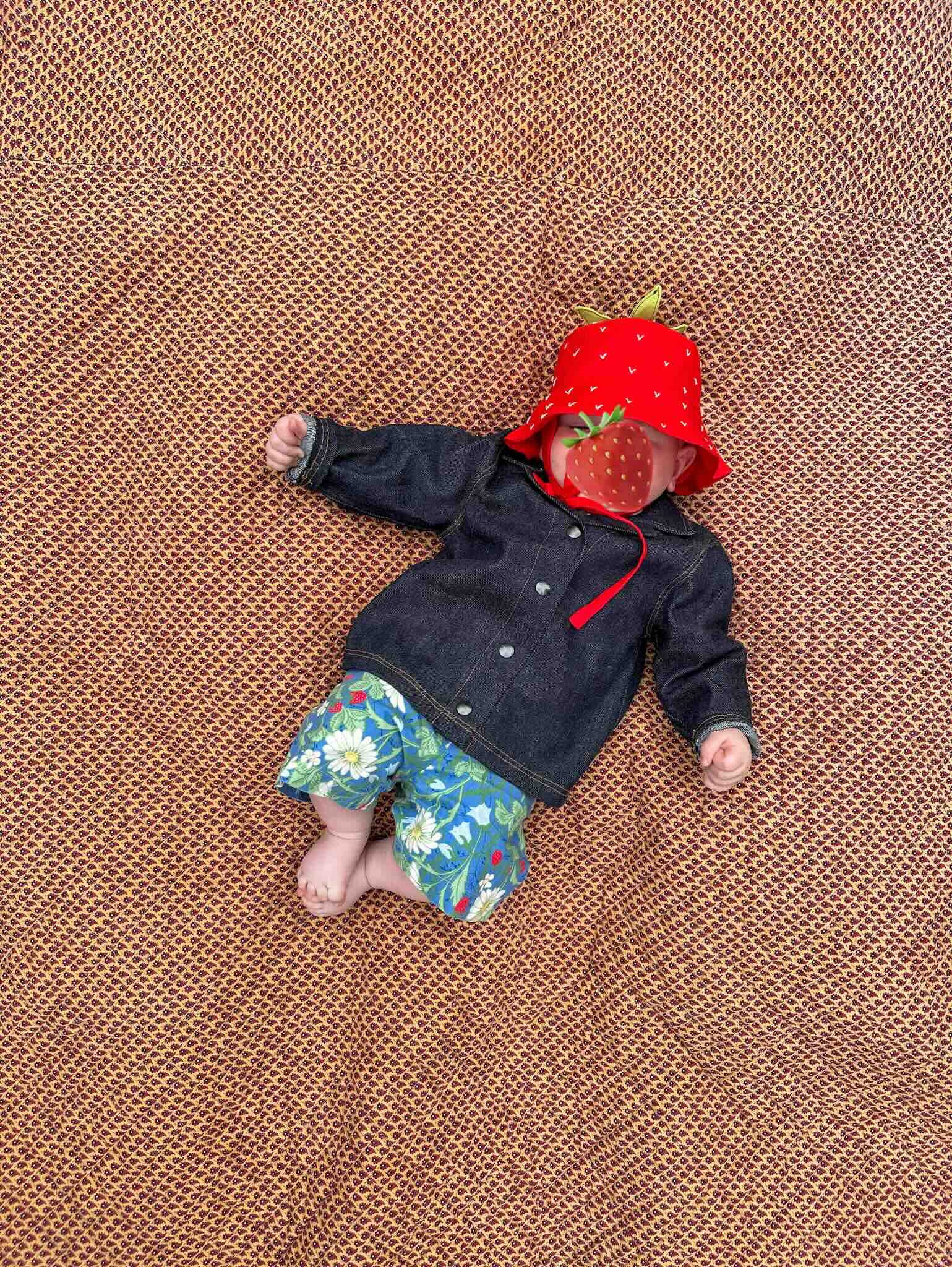 Jordbær Bøttehatt sypakke