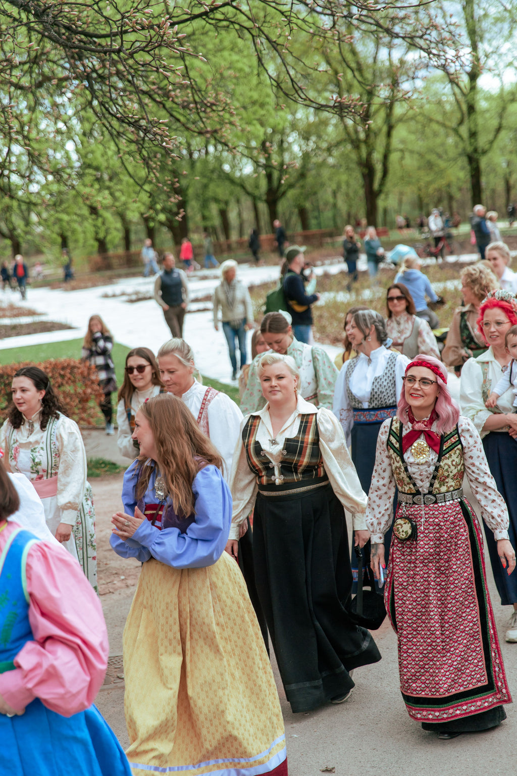 Fæstdrakt Dame + bluse